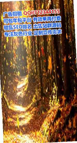 济宁试管电力公司